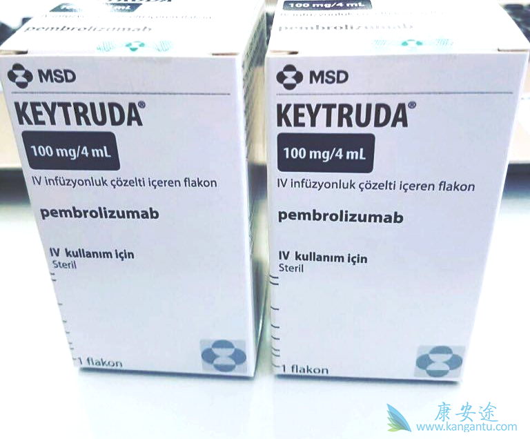 ���߼������Ƽ�