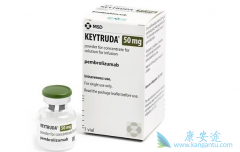 PD-1����Kҩ���ϰ���ҩ�ַ��������������Щ��֢��