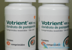 ���ٴ������Ϲ۲쵽���������ḱ��������Щ��