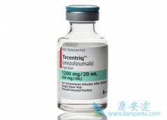 PD-L1����atezolizumab���ϻ���������ΪСϸ���ΰ�һ���Ʒ�
