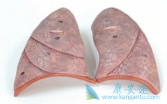 ALK���Ƽ������������ת�ƻ��ߵ�����Ч����ô��