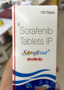 ӡ�ȶ༪��(SORAFENAT)�����ڼ�ΰ����߳�ʲô��