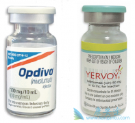 Opdivo����Yervoyһ���������ں�ɫ�������ߵ�����Ч��