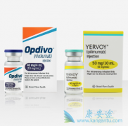 ת������·��Ƥ�����߿���ʹ��PD-1����Opdivo����Yervoy����