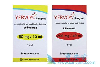 ��ƥľ����