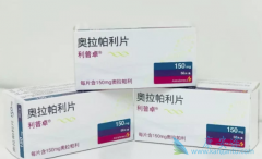 �Ѿ����й����е�PARP���Ƽ���������������Ч����ô��