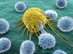 ��������������֮�Կ�����Чҩ�Ĵ�����ʶ