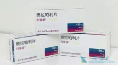 PARP���Ƽ��������ᣨOlaparib�����������ѳ��������ٰ���