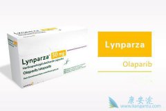 ��������(Olaparib)��ҩ�������ٰ�Ч�����