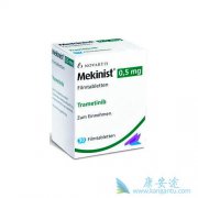 ��������(MEKINIST)��ʹ�þ����ע������