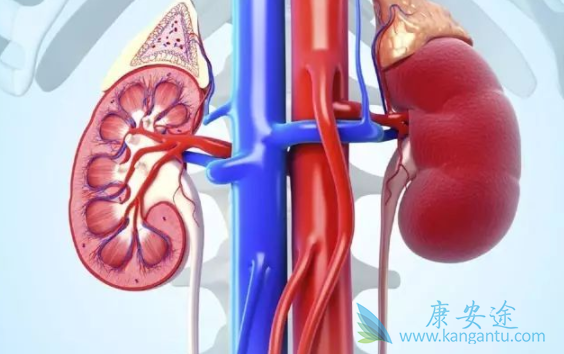 卡博替尼 卡博替尼