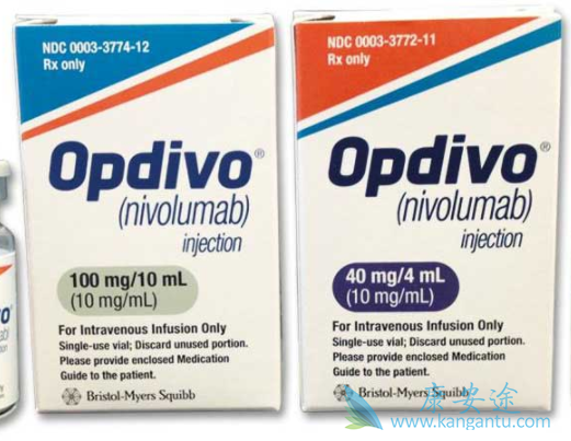 纳武单抗 纳武单抗