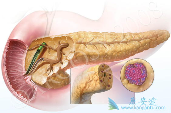 依维莫司 依维莫司