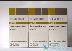 Ŀǰ���ڻ����ķ�Сϸ���ΰ�����EGFR-TKIһ��������