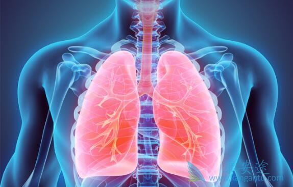 Ԥ���ΰ�����