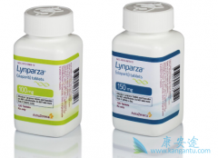 PARP���Ƽ���Ŀǰ�ѳ������Ƶ�����ҩ��֮һ