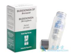 �����Ա��׻��߳���ʹ�ò����ε�(Budesonide)��ȫ��