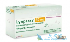 ��������(Olaparib)Ϊ�ѳ������ƴ�����Щ�ı�