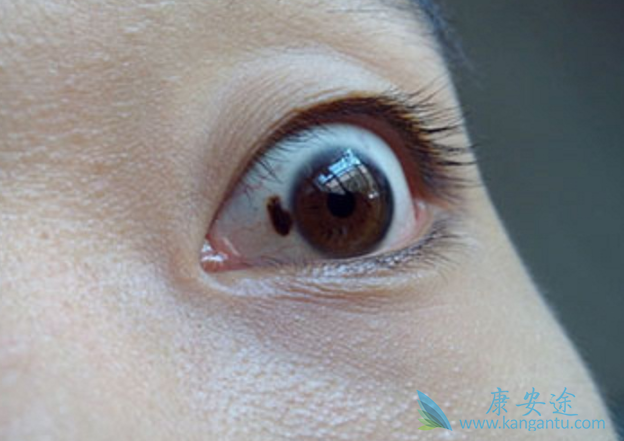 ��ɫ����