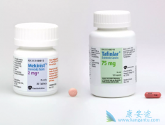 BRAFͻ��Ķ��Ժ�ɫ��������ʹ�ô�����������������������