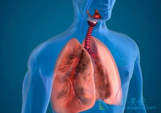 布格替尼 布格替尼