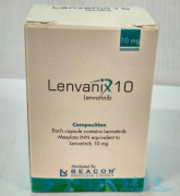 �ַ�����/����������ת���Լ�״����ʱ����Щע�����