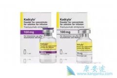 T-DM1��ʲô��T-DM1����Ч��Σ�