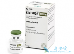 PD-1���Ƽ���ʳ�ܰ���������Ч����ô����