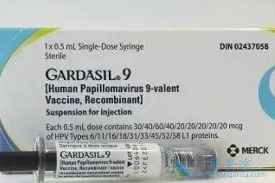 �ż�����