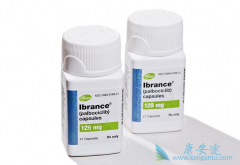 �߰�������������2015�����׼���������ٰ�������ҩ