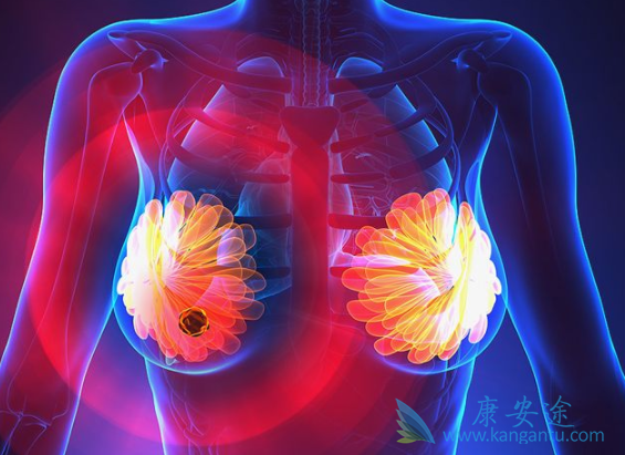 �����鵥��