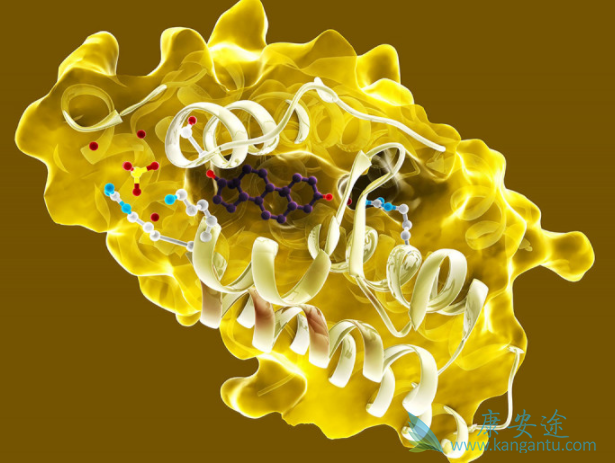 �����鵥��