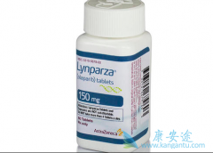 PARP���Ƽ��ĳ���Ϊ�ѳ������ߵ������ṩ��ȫ�µ�ѡ��