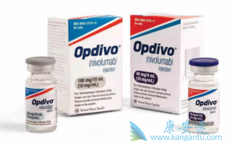 �������ȵ���