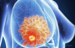 ���ٰ��ڷ������Ʋ������������е����ٰ�����