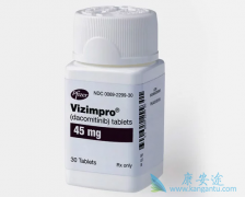 ȫ��EGFR-TKI������ᱻ����2019���Сϸ���ΰ�ָ���Ƽ���ҩ