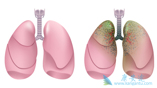 ��Сϸ���ΰ�