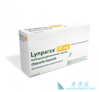 PARP���Ƽ���������������BRCA����ͻ������ٰ�������