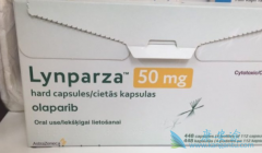 Ϊ��BRCA1����ȱ�ݵĻ��߸��ܴӰ�������(BRCA1)�л��棿