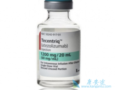 ���������Ʒ�Keytruda��Tecentriq�ĸ��������������ٰ�Ч���ã�