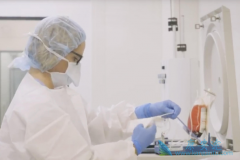 Ŀǰ�й���Լ�ж��ٸ�CAR-Tϸ���Ʒ����������������飿