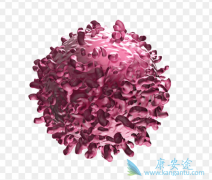 CAR-Tϸ�������Ʒ����ŵ��ȱ��