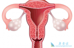 Ϊ��PARP���Ƽ�����ŷ��������ά�������ѳ�������Ӧ֢��