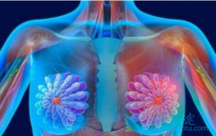 ��ά˾Ⱥ(fulvestrant)����Alpelisib����PIK3CA�����ٰ�����Ч