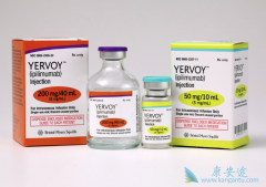 Yervoy��ipilimumab���������ƺ�ɫ�������������߼������Ƽ�ʱ��