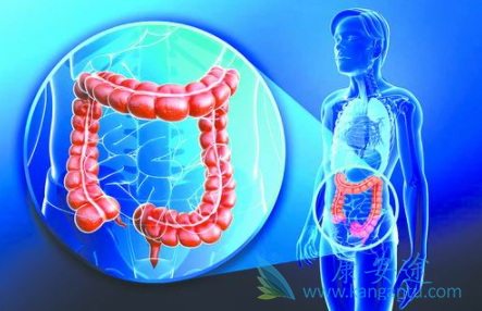 ��ֱ����