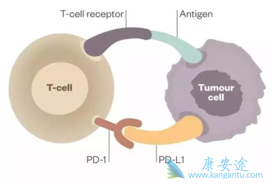 ���߼������Ƽ�