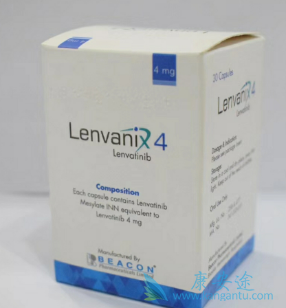 �ַ�����