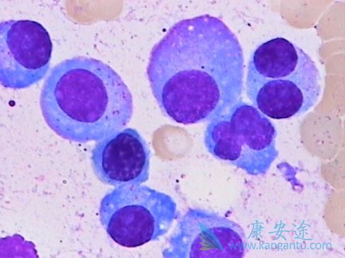 �෢�Թ�����