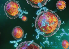 elotuzumab���ƶ෢�Թ�����ʱ����ô�ã�